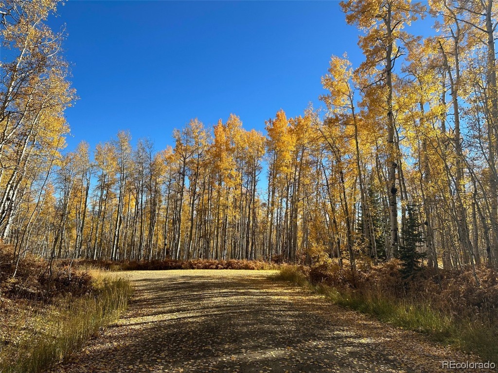0000 Beaver Canyon DRIVE