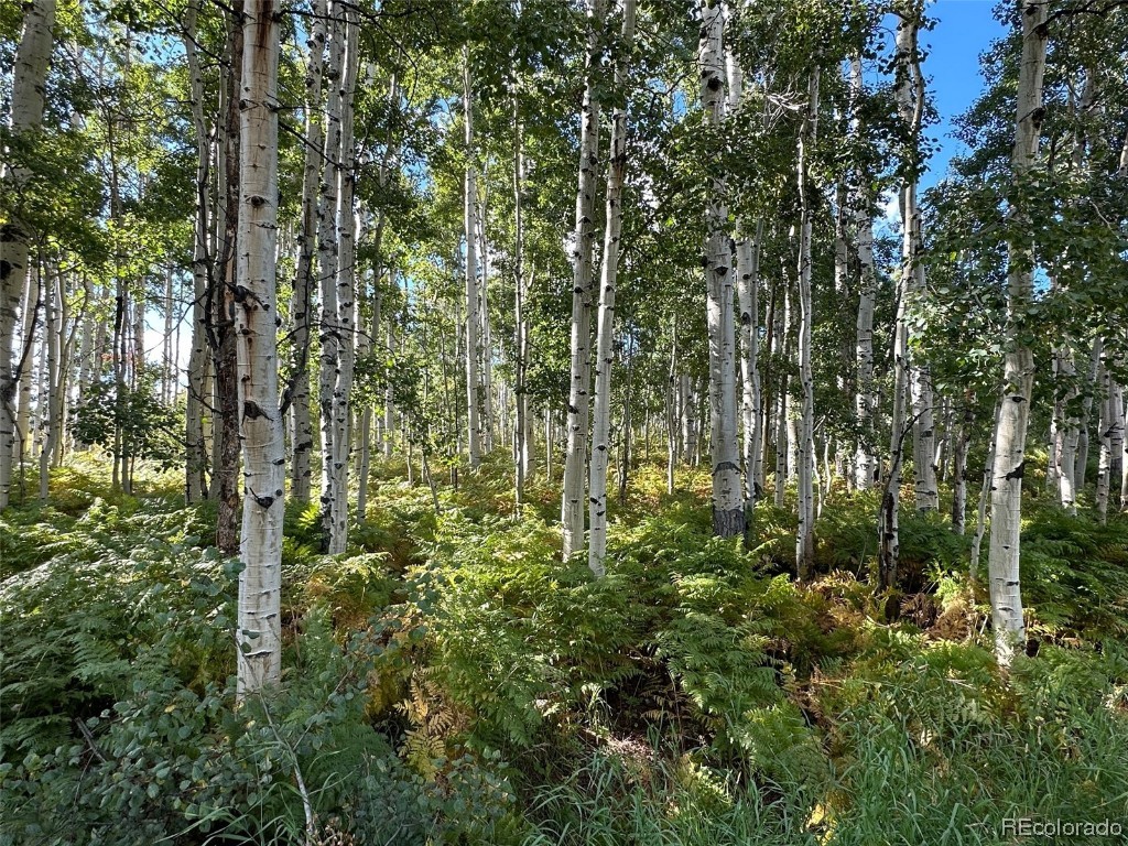 0000 Beaver Canyon DRIVE