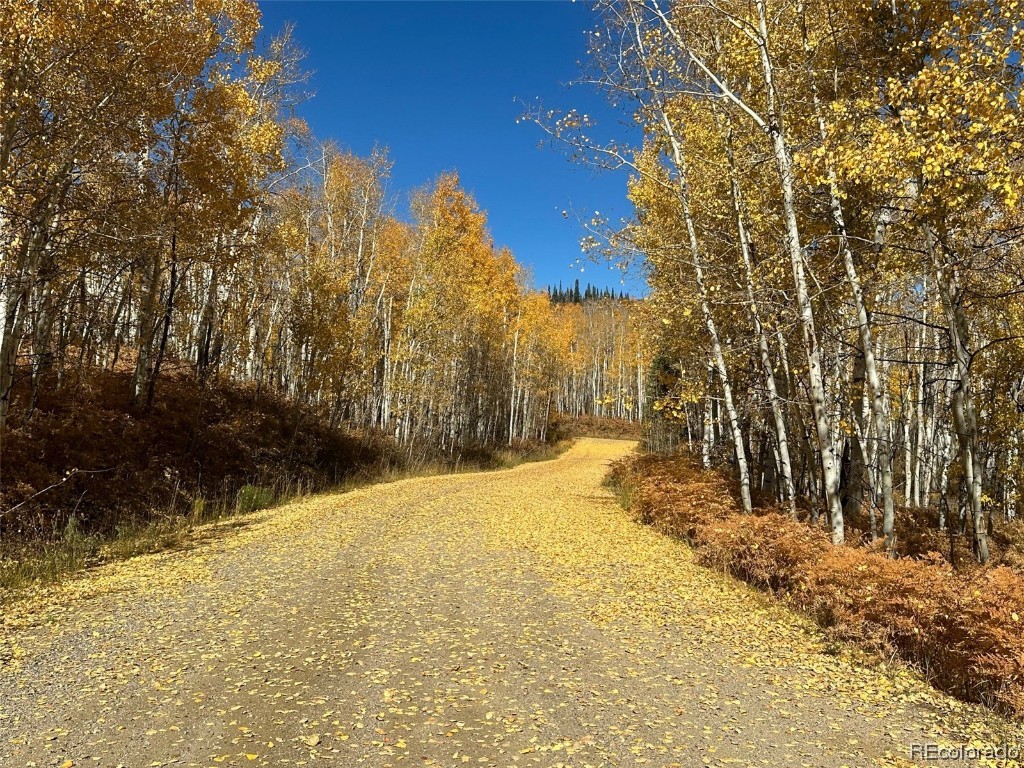 0000 Beaver Canyon DRIVE