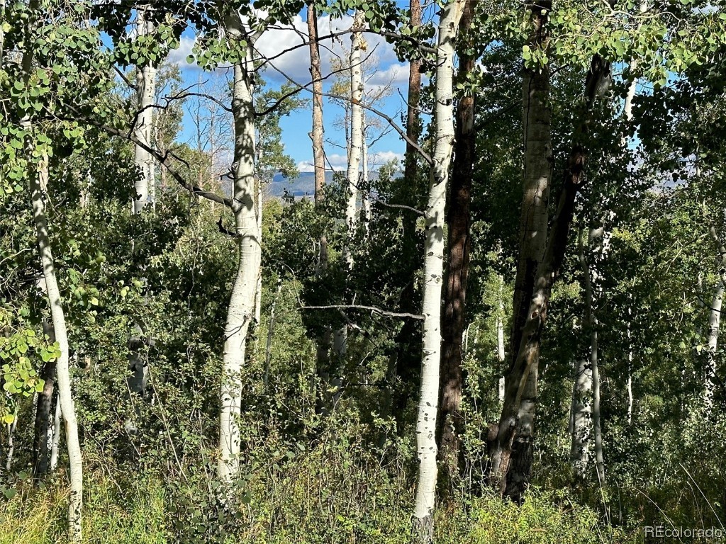 0000 Beaver Canyon DRIVE