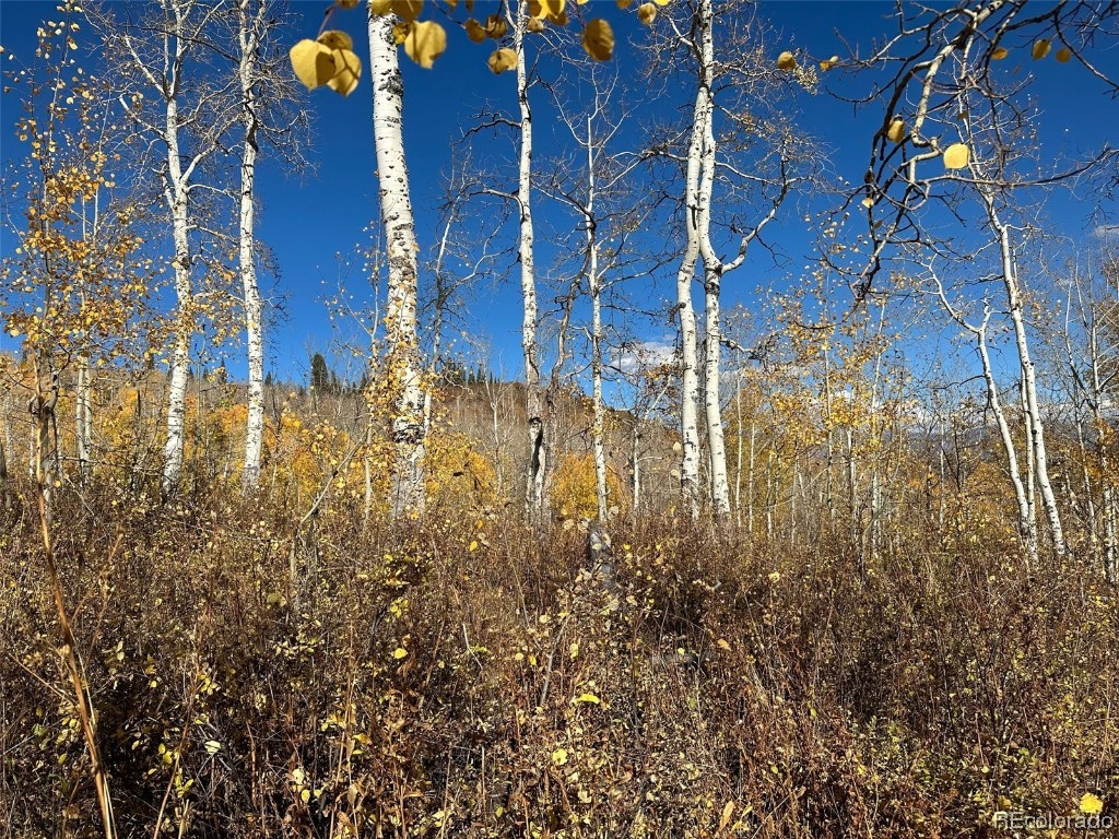 0000 Beaver Canyon DRIVE
