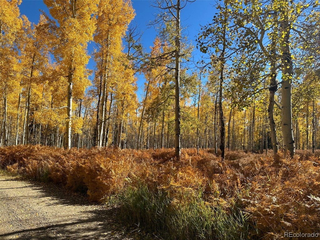 0000 Beaver Canyon DRIVE