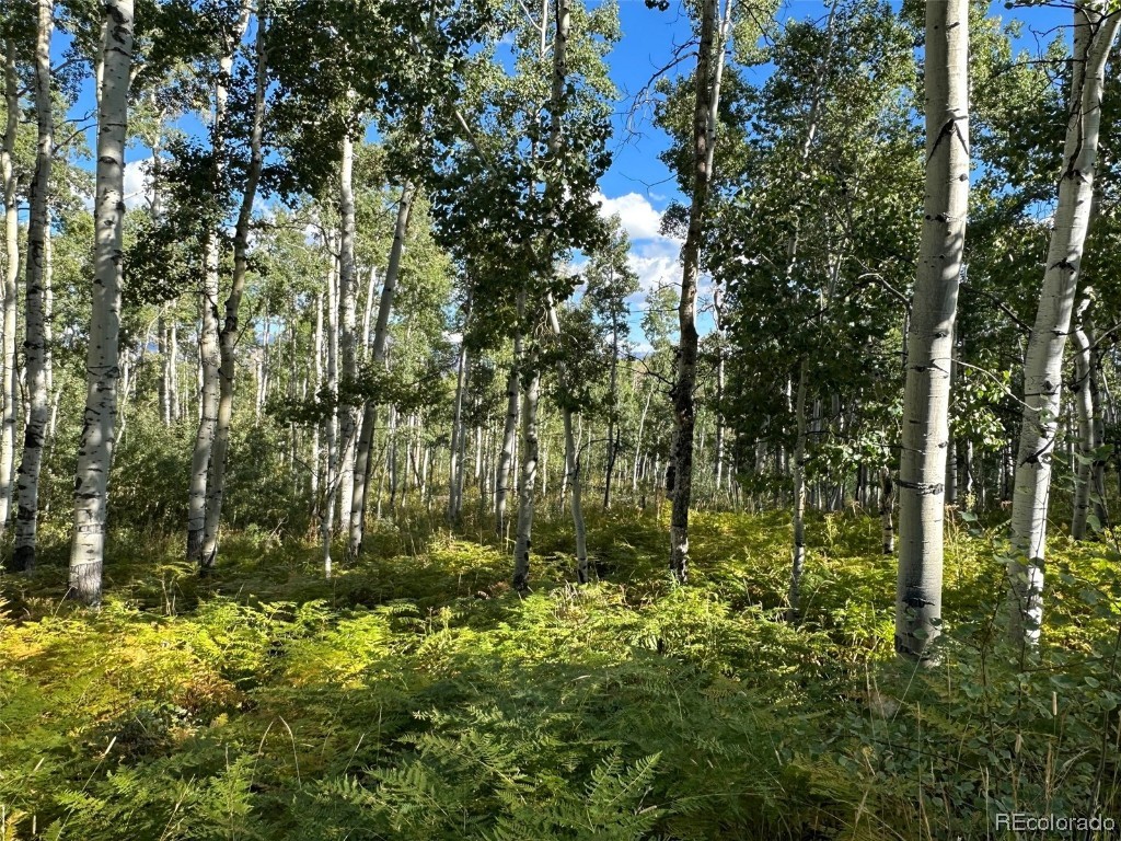 0000 Beaver Canyon DRIVE