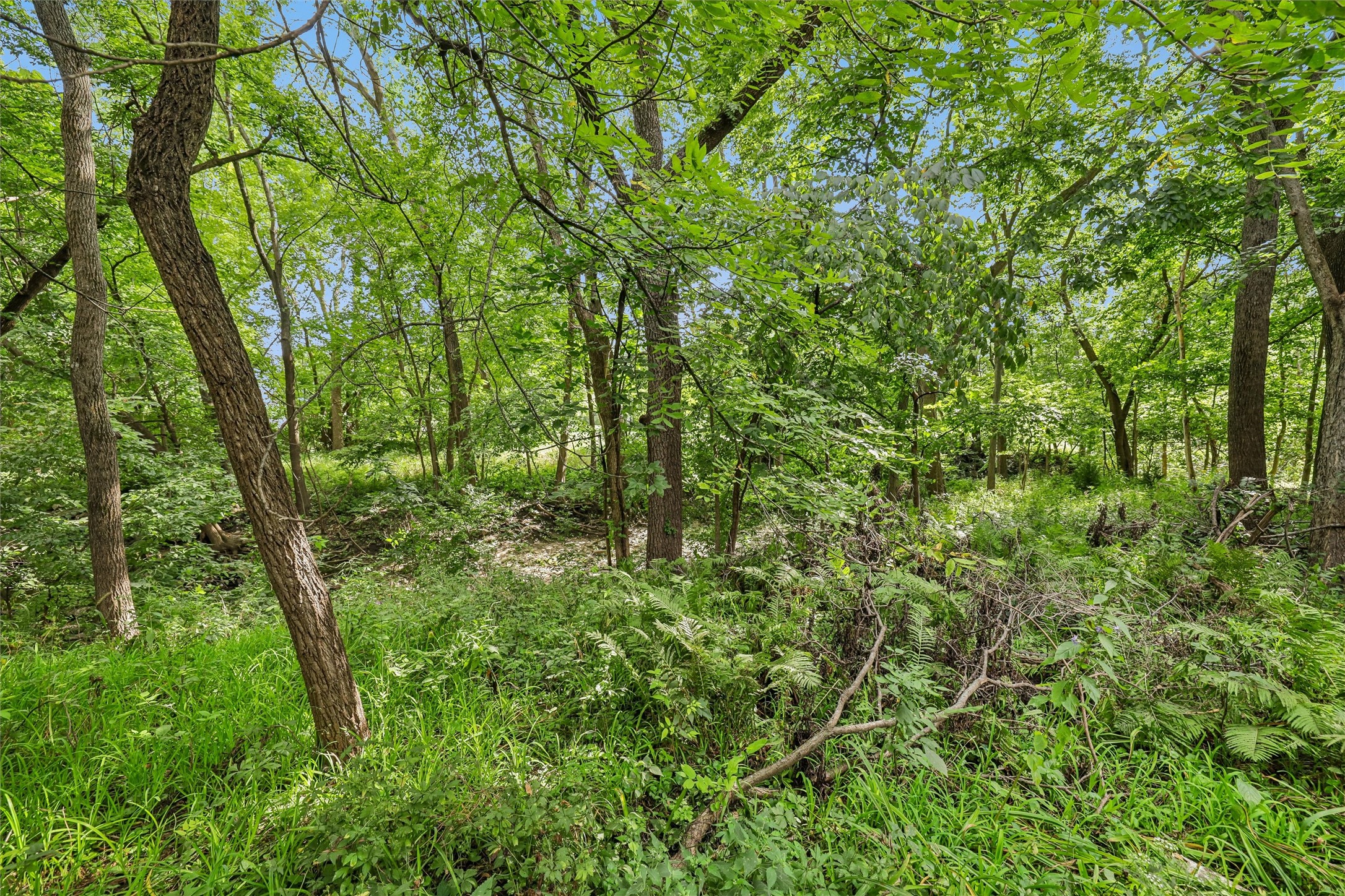 7020 Oak Brook Drive