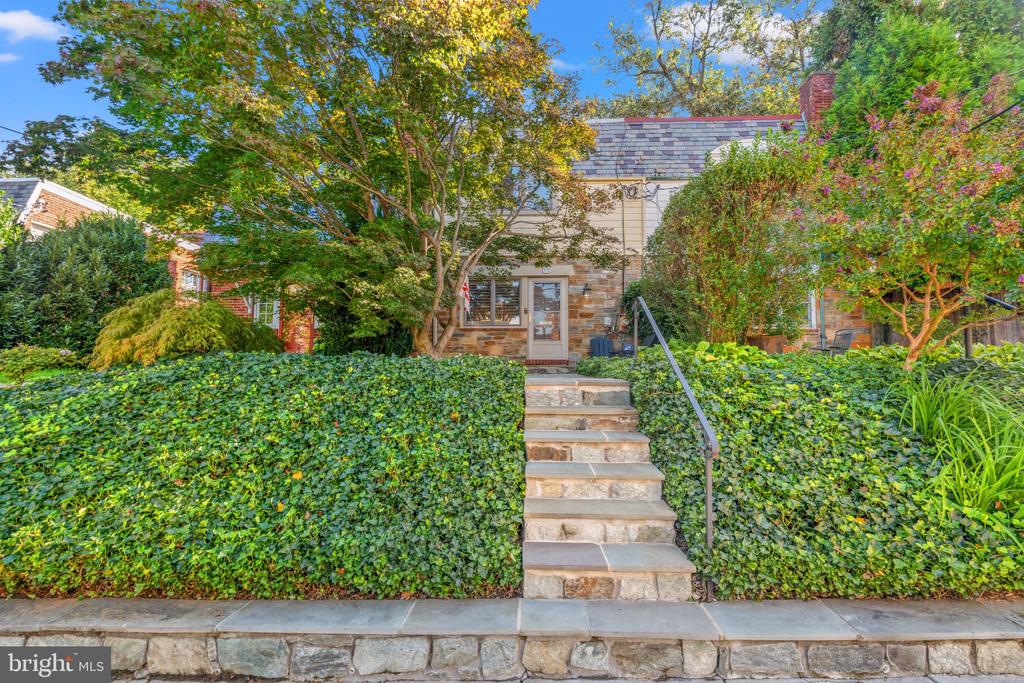 House behind stone steps and an ivy-covered front yard, surrounded by mature trees and flowering shrubs.