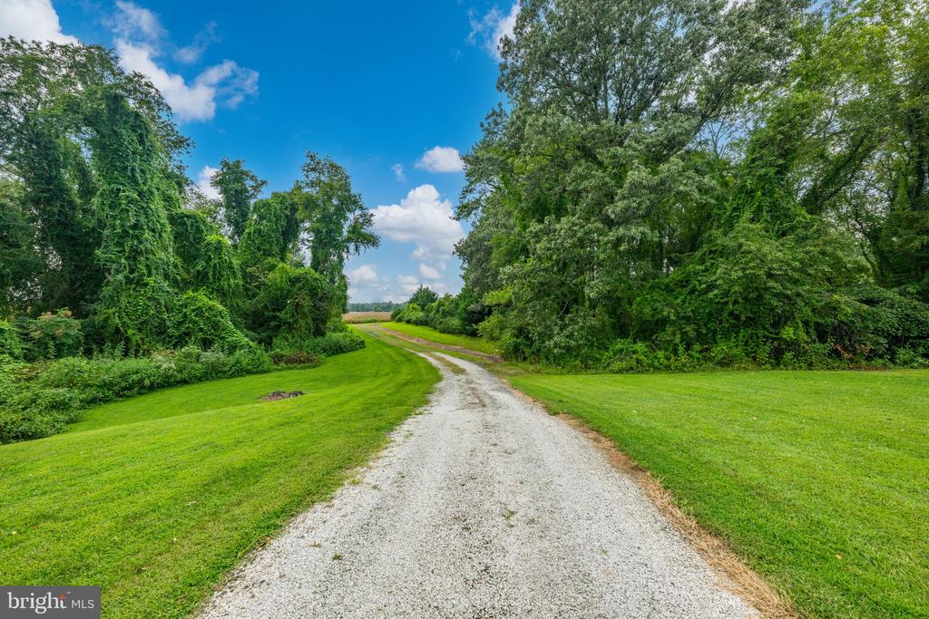 491 WYE ISLAND ROAD