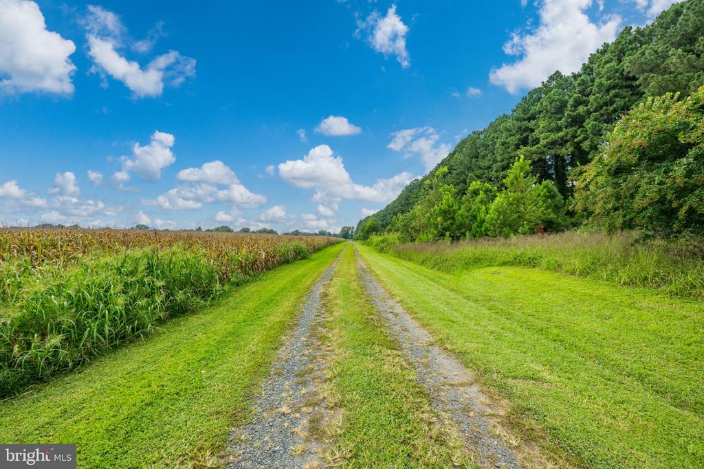 491 WYE ISLAND ROAD