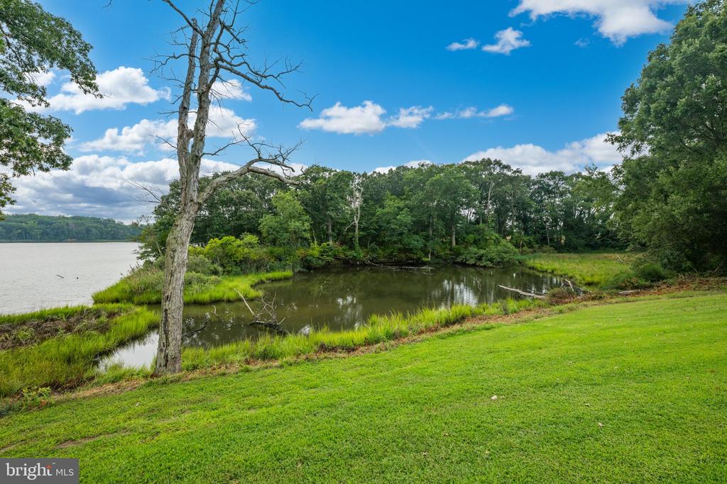 491 WYE ISLAND ROAD