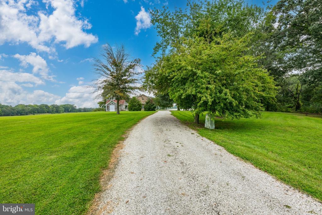 491 WYE ISLAND ROAD