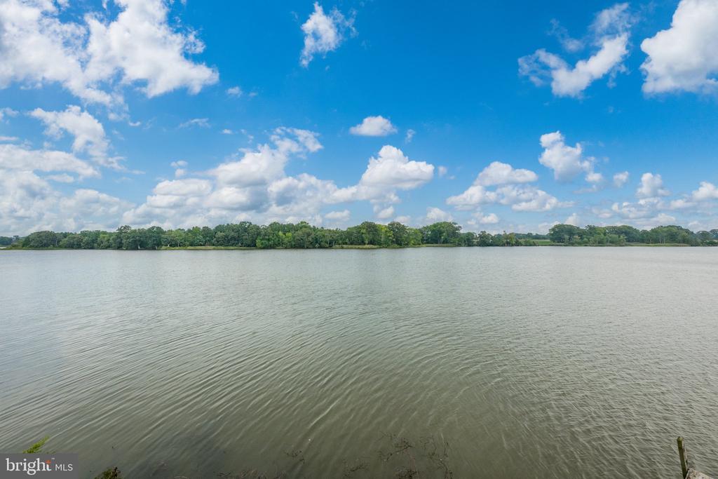 491 WYE ISLAND ROAD