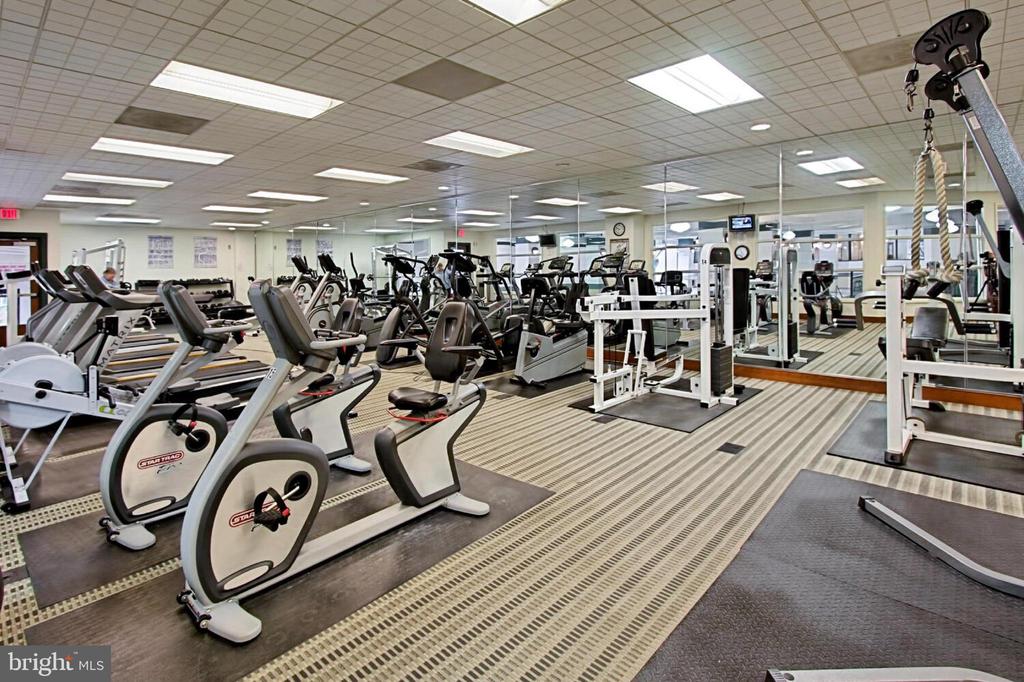 205 YOAKUM PARKWAY 1524
