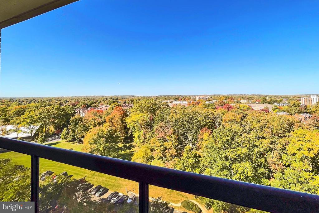 205 YOAKUM PARKWAY 1524