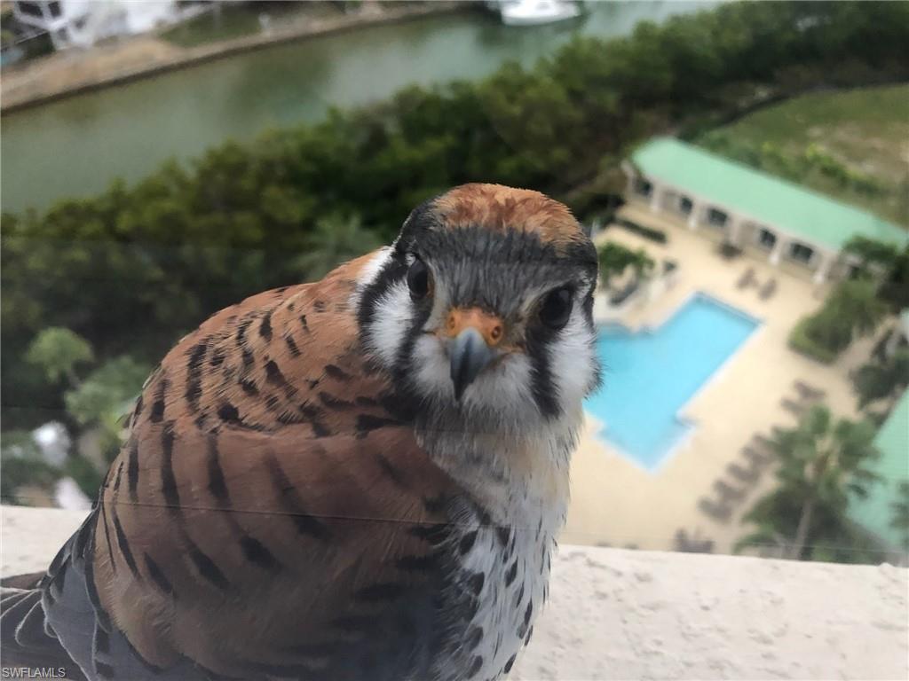 4137 Bay Beach LN Unit: 5H4