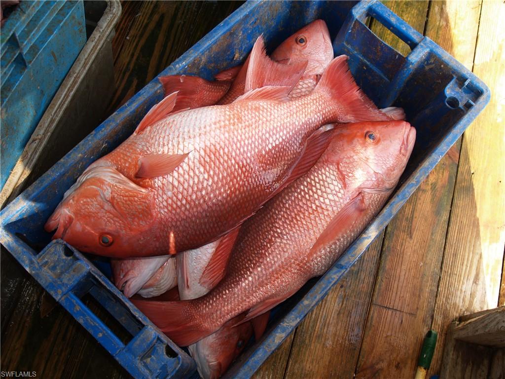 5585 Avenida Pescadora