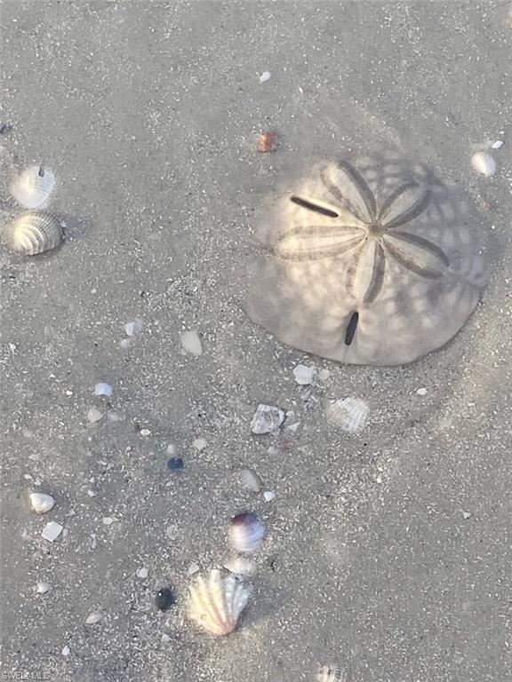 4137 Bay Beach LN 585