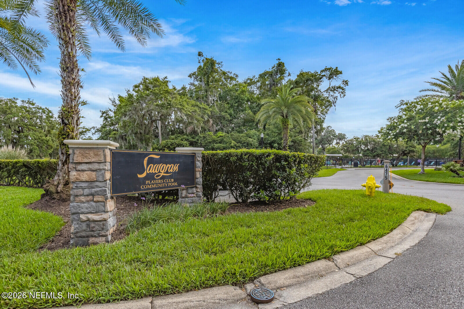 5008 BUTTONWOOD Drive