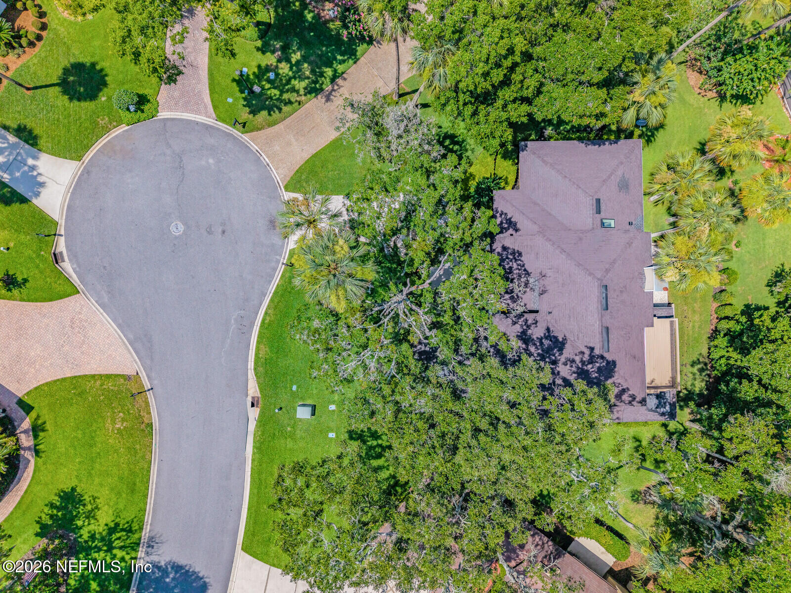 5008 BUTTONWOOD Drive