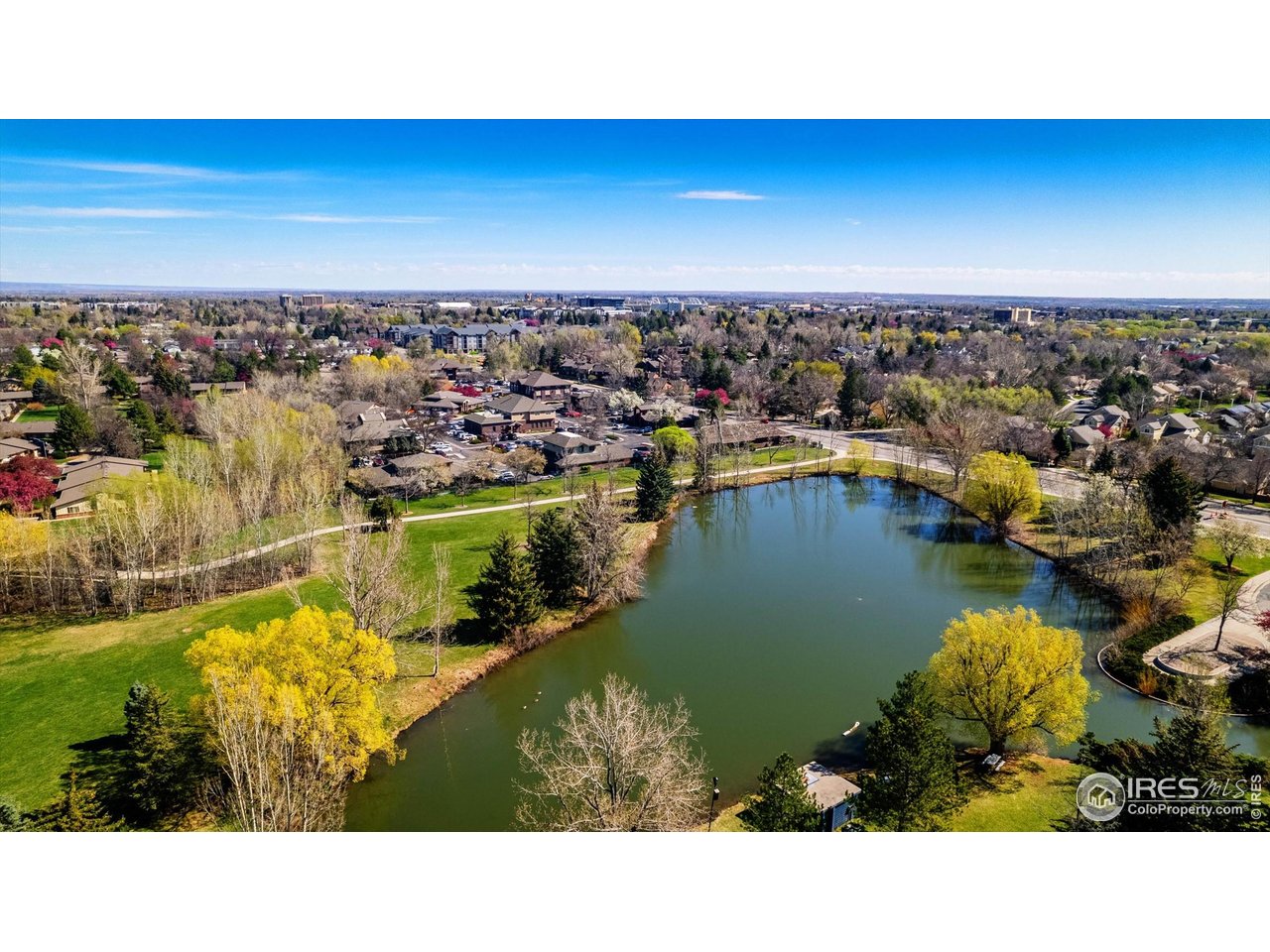 1020 Rolland Moore Dr 2D