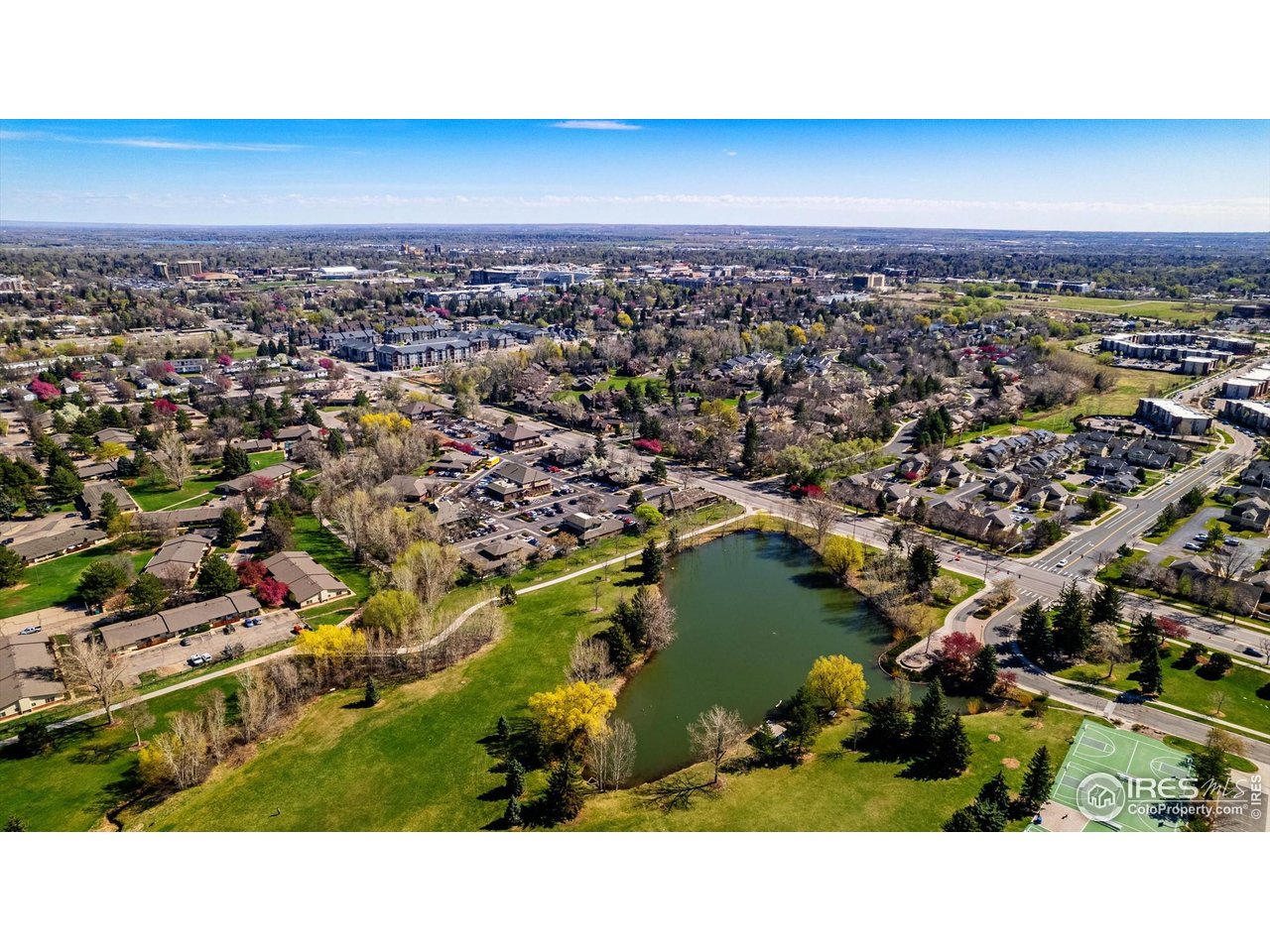 1020 Rolland Moore Dr 2D