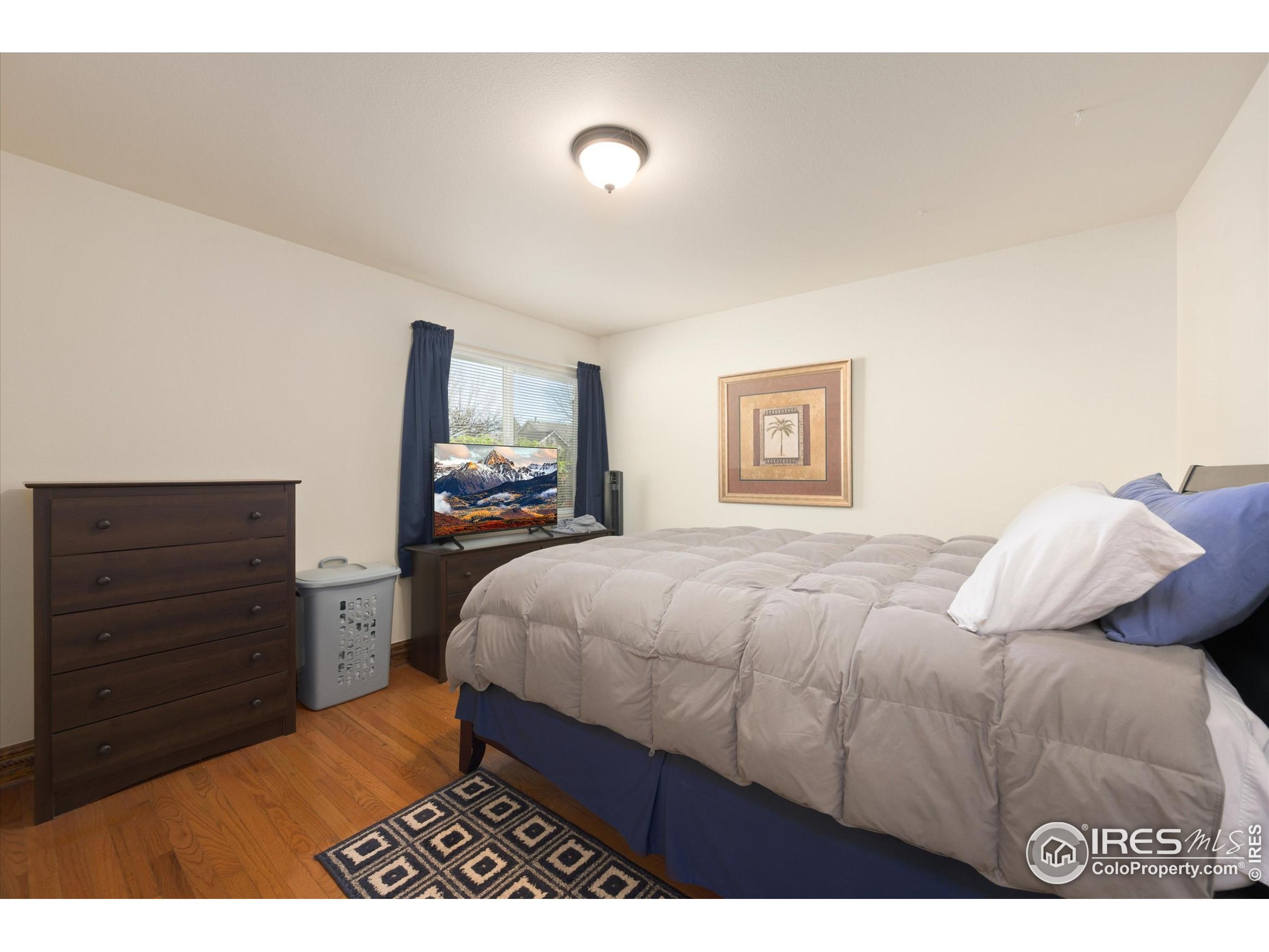 1020 Rolland Moore Dr 2D