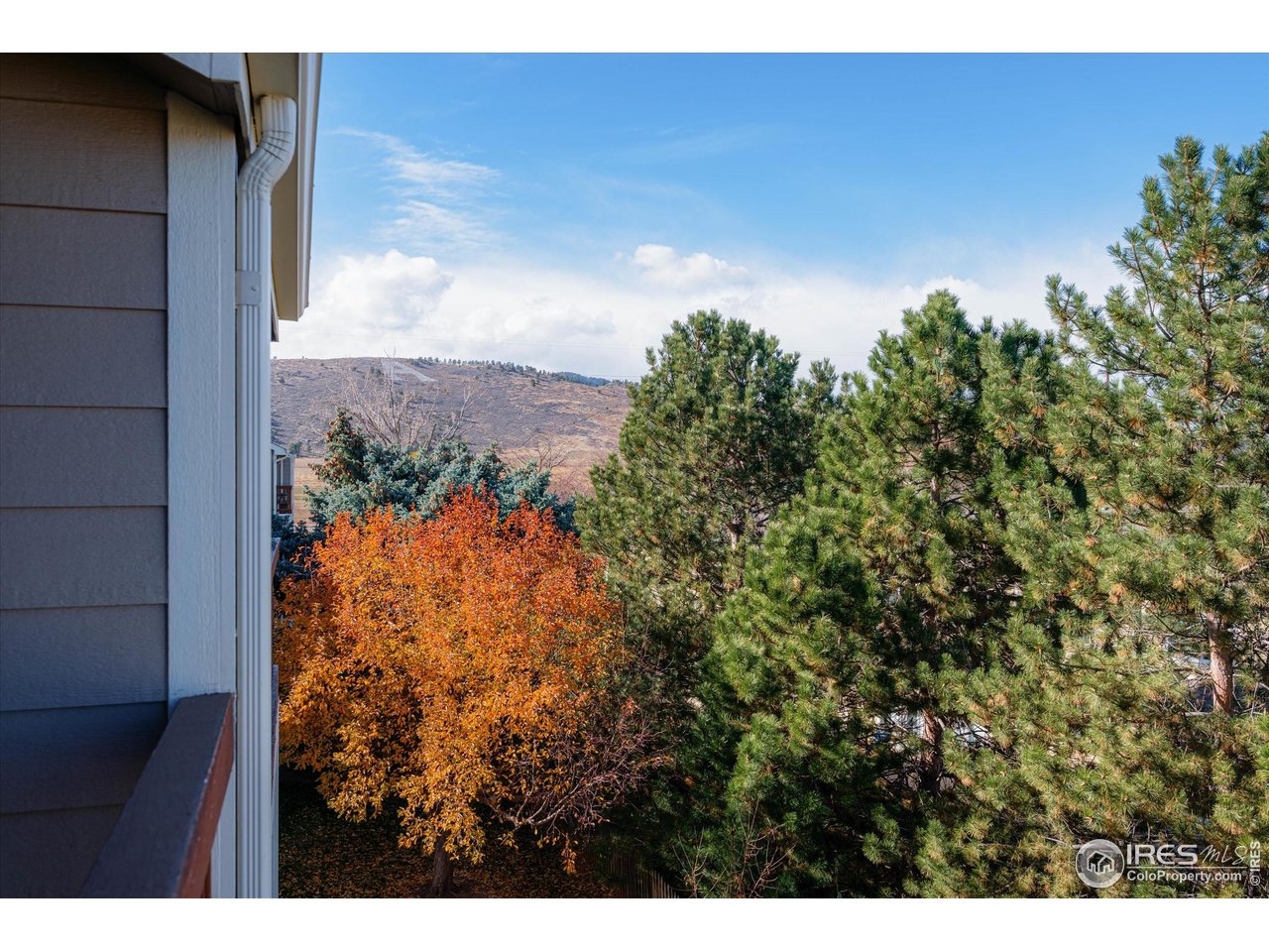 2960 W Stuart St D-304