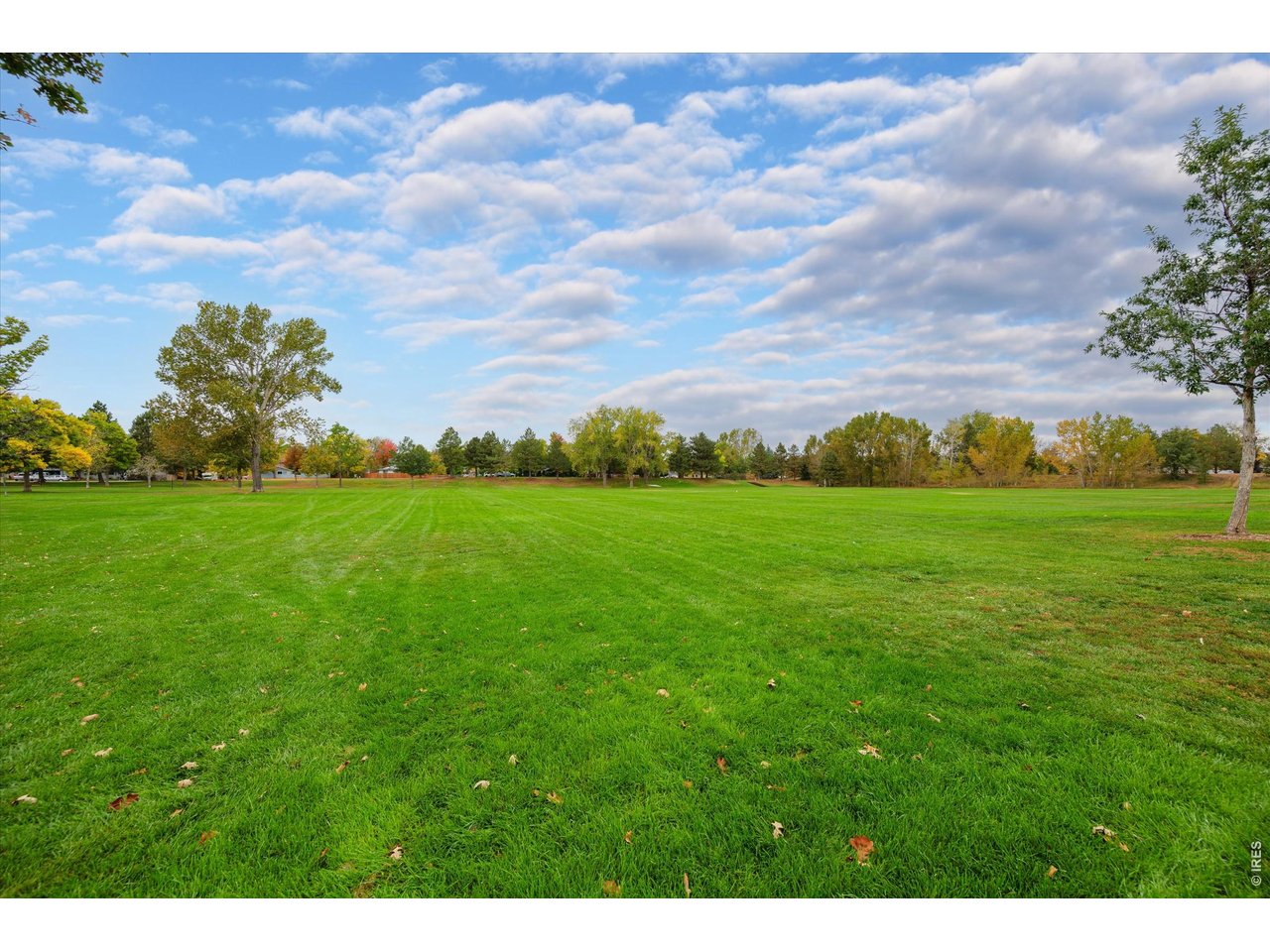 3349 Hickok Dr