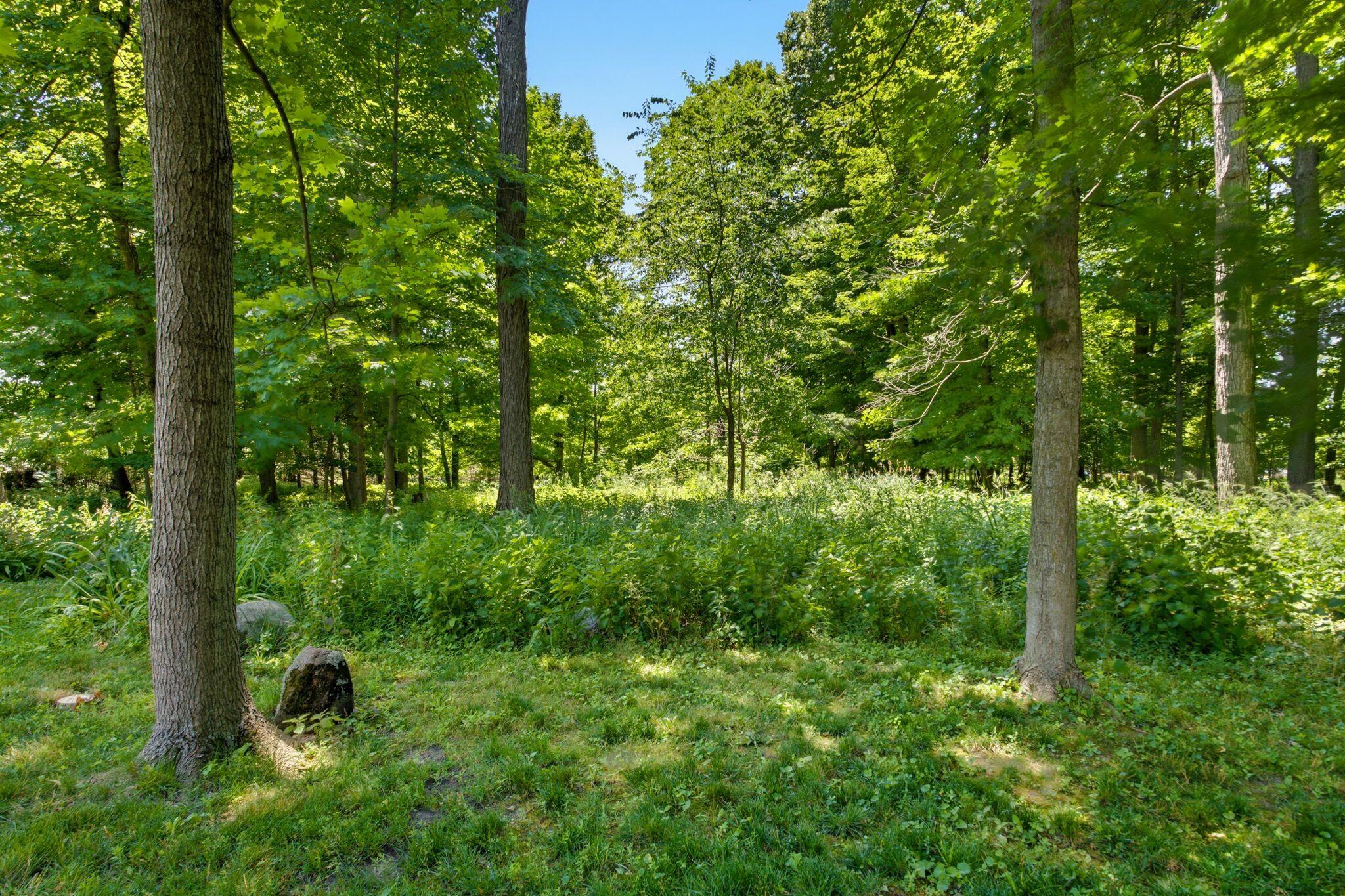 19185 Alta Vista Dr