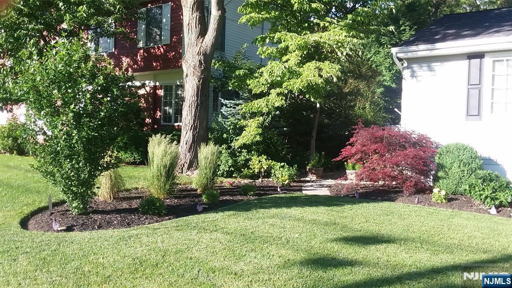 340 Magnolia Avenue