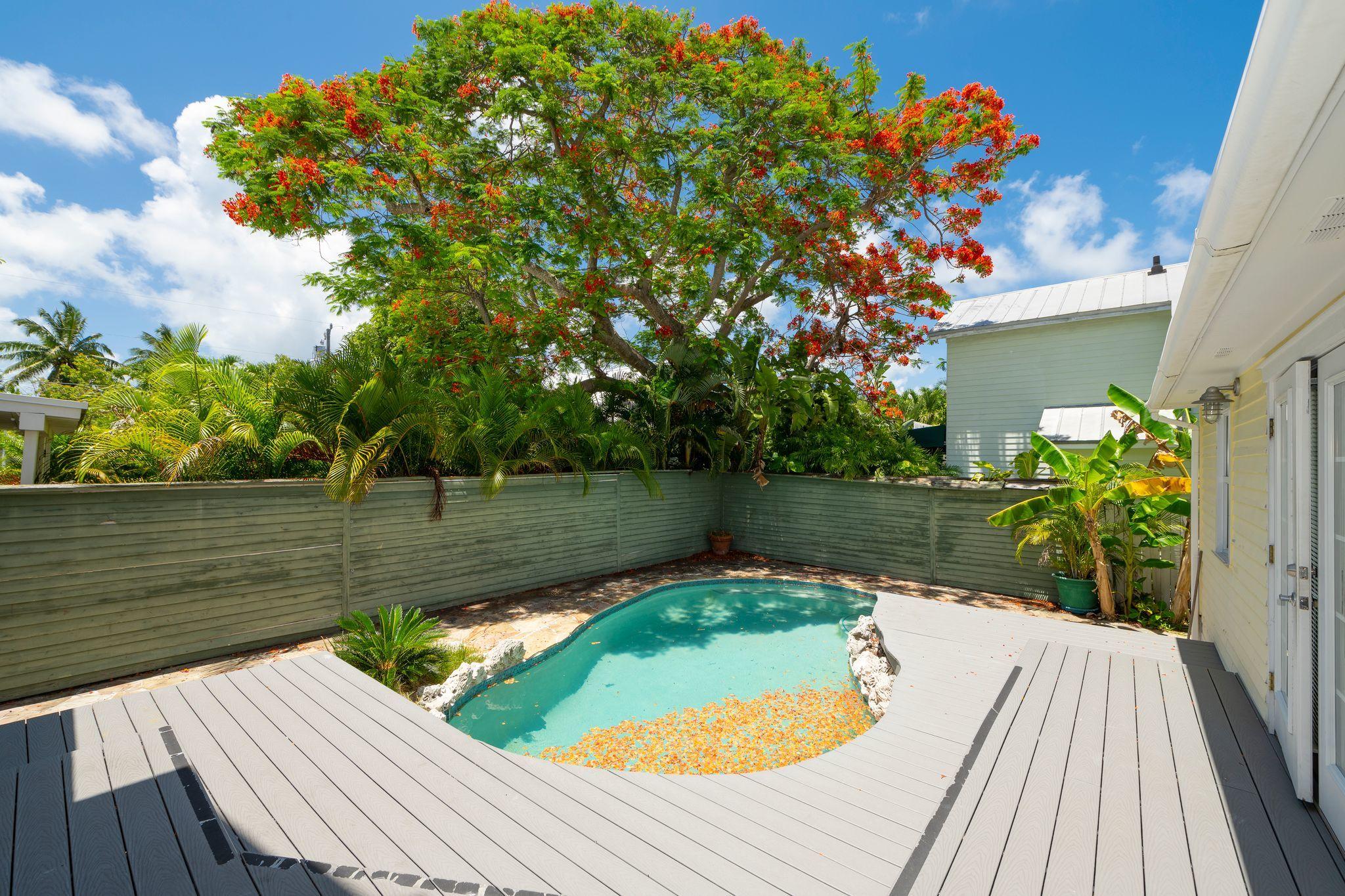 1207 Florida Street Unit: DOWN