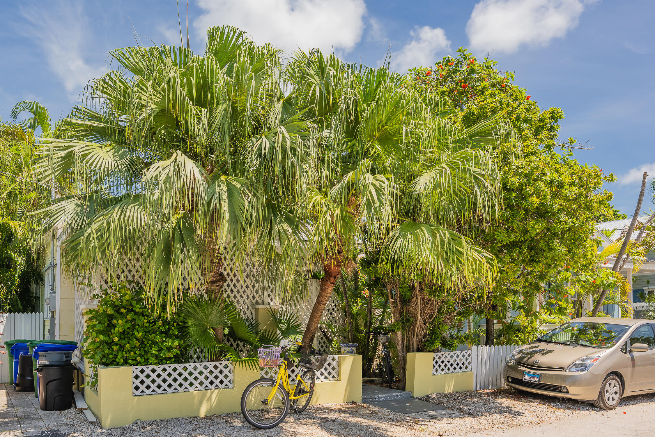 409 Catherine Street