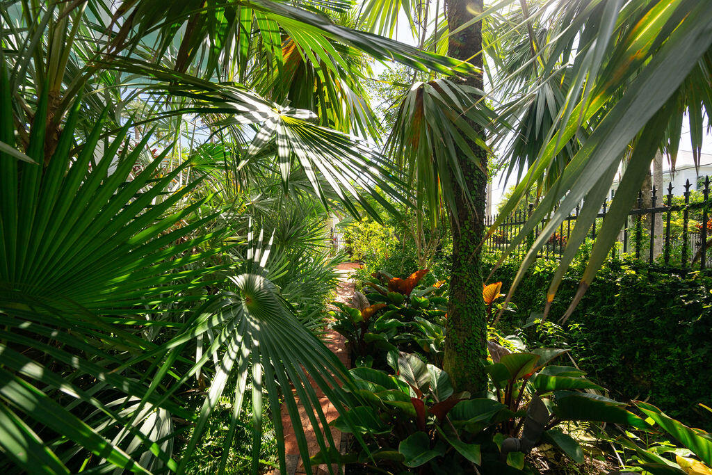 1419 Thompson Street