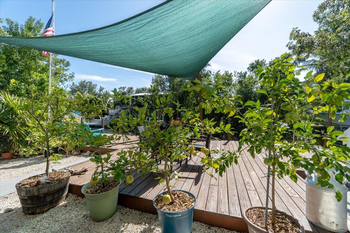 29154 Cedar Drive