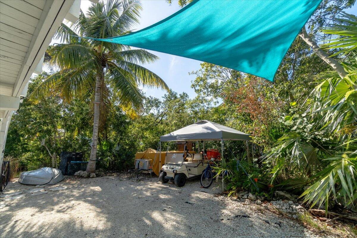 29154 Cedar Drive