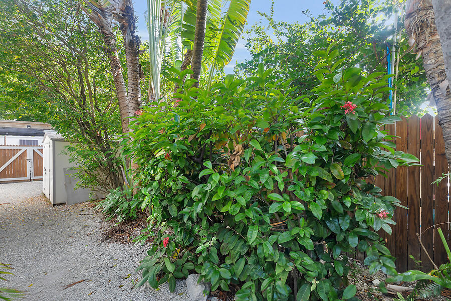 1211 Catherine Street