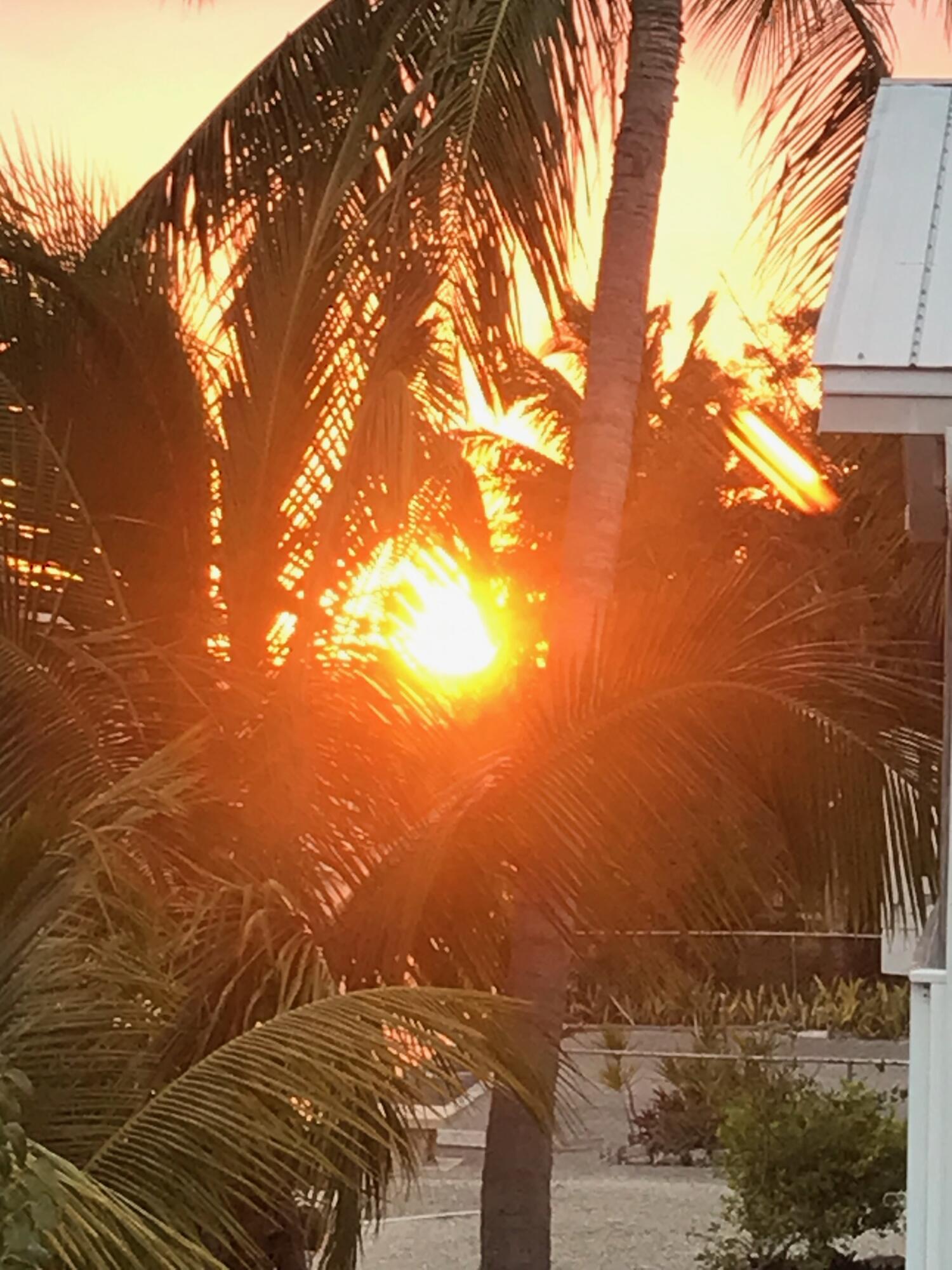 22994 Anne Bonny Lane