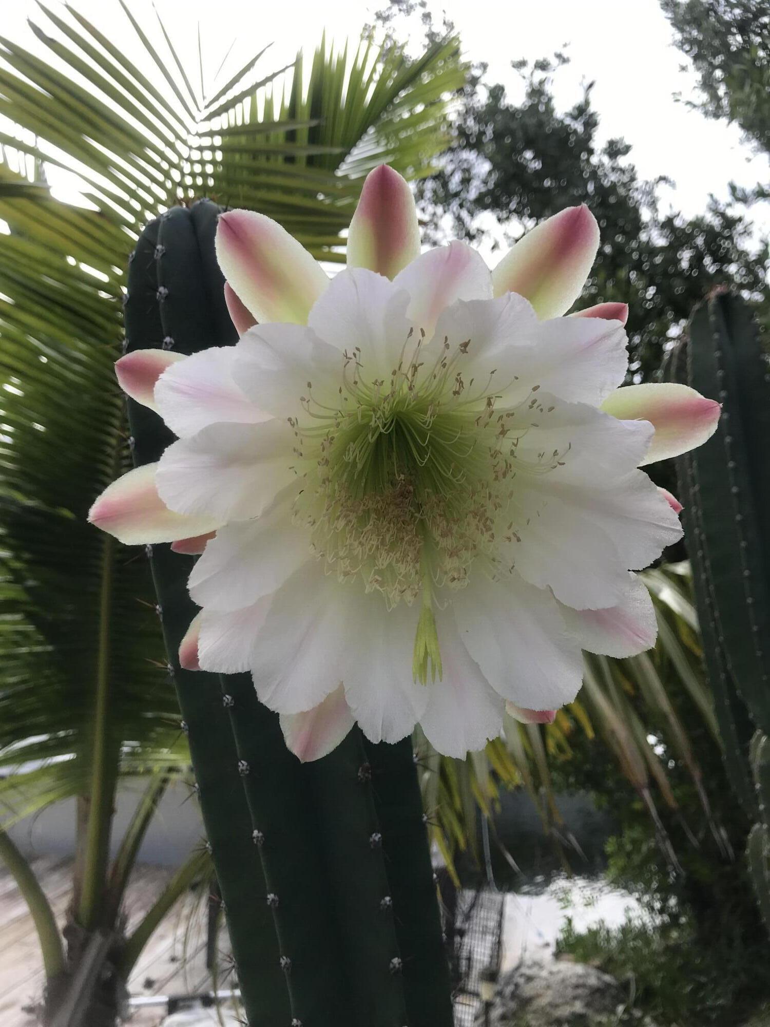 22994 Anne Bonny Lane