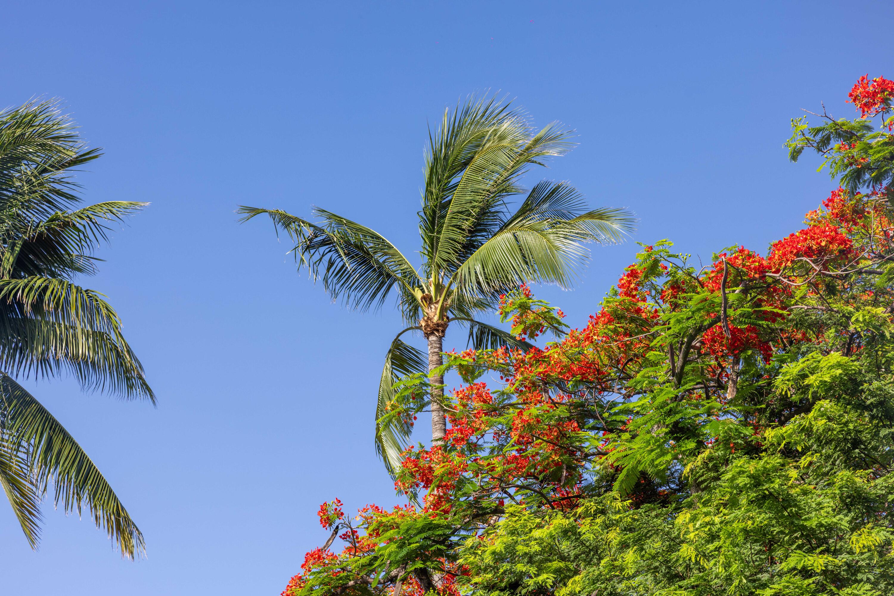 115 Front Street Unit: 102