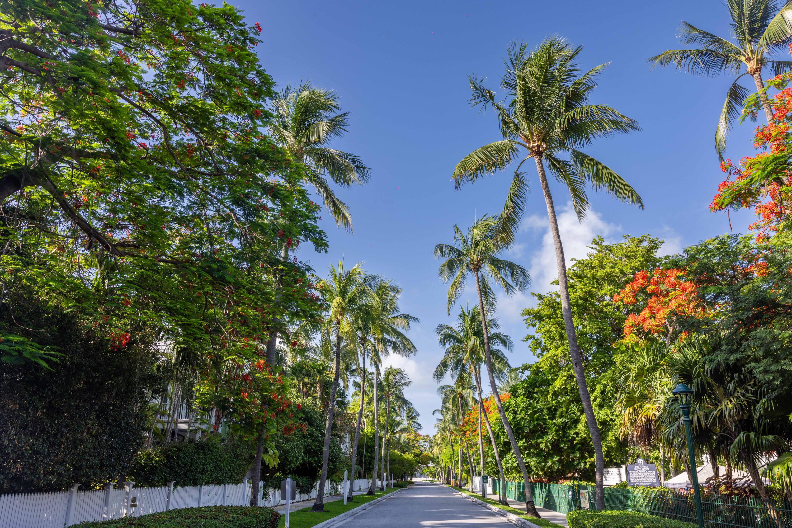 115 Front Street Unit: 102