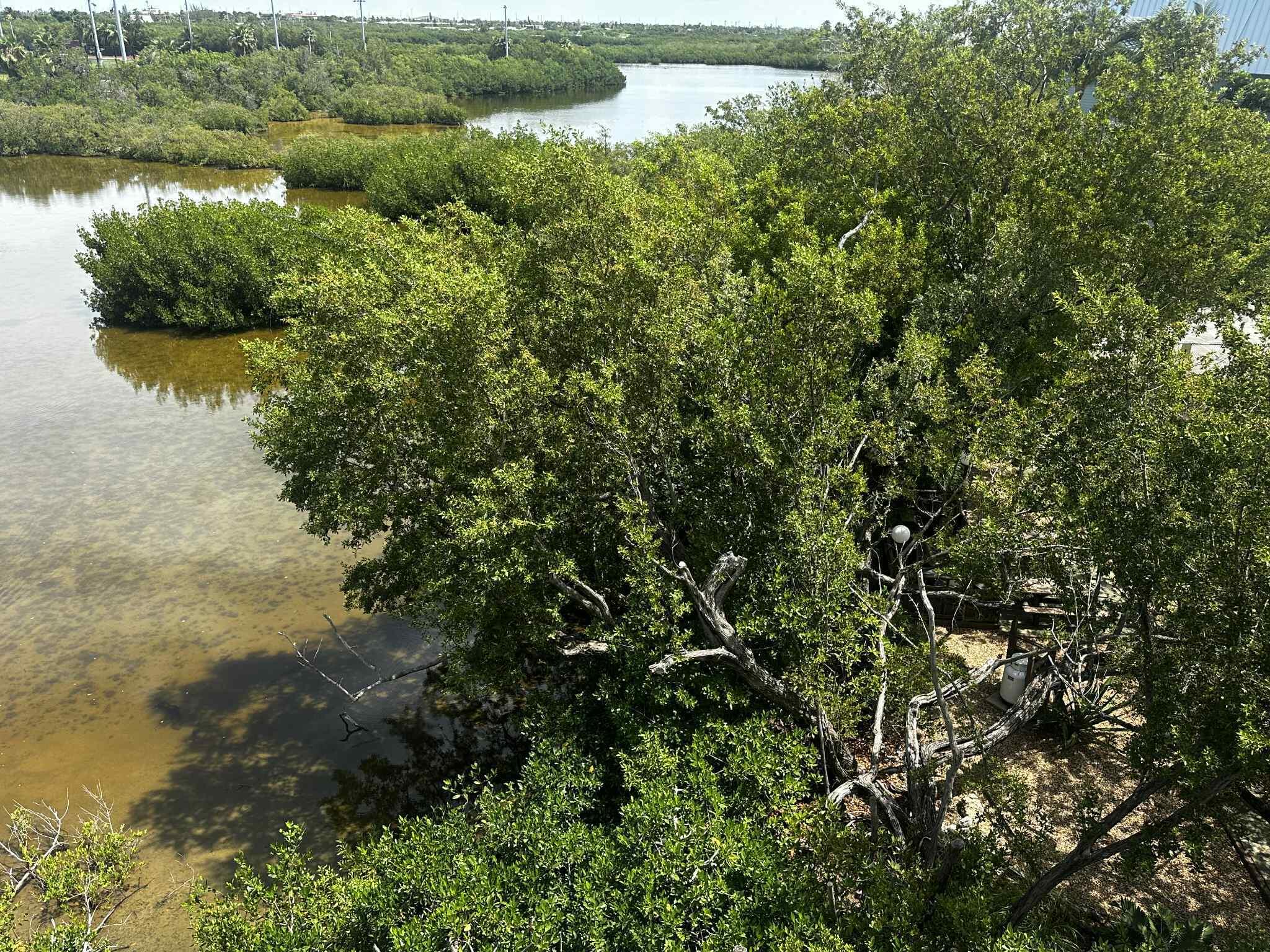 1901 S Roosevelt Boulevard Unit: 406W