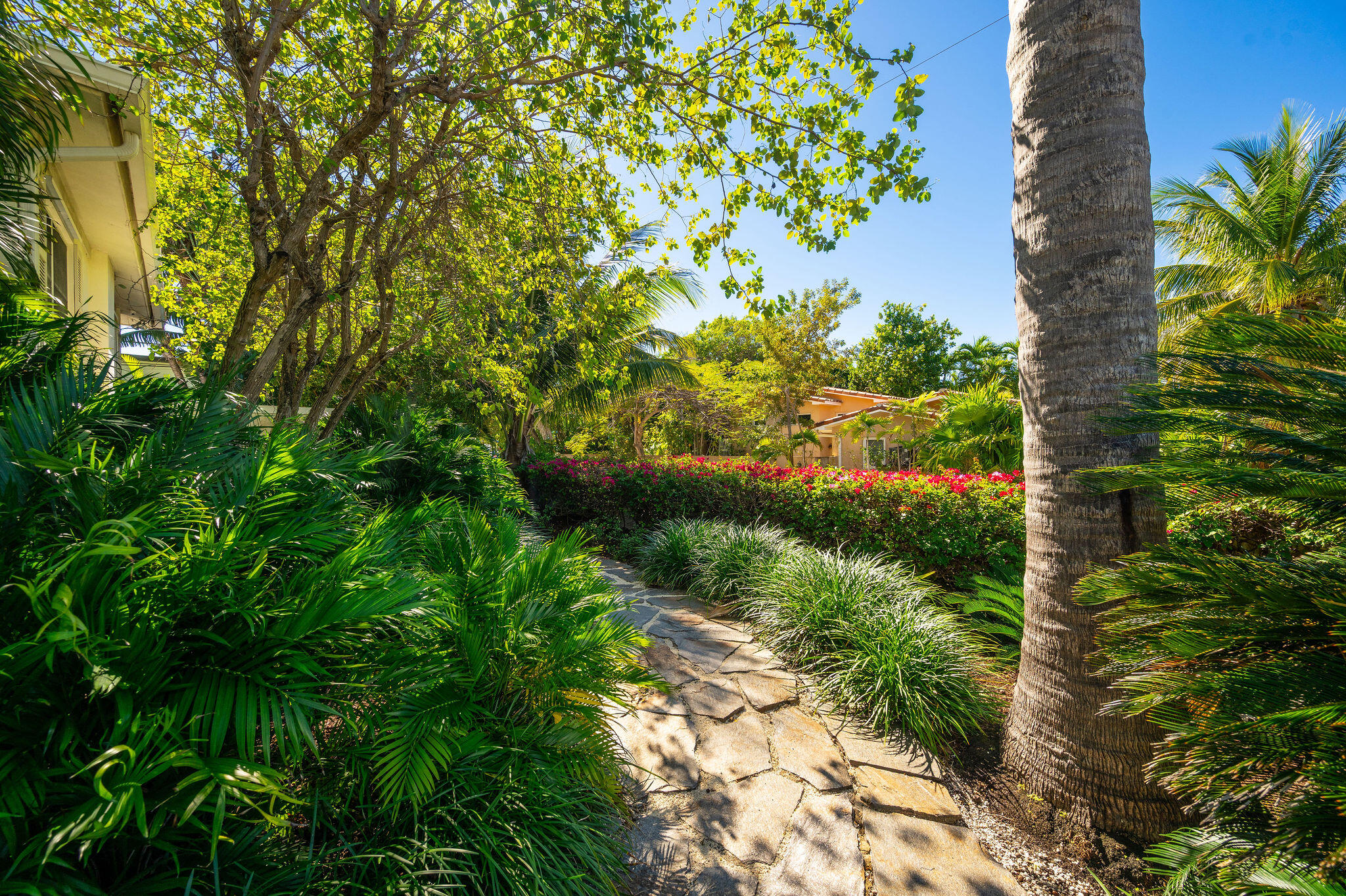 1600 Patricia Street