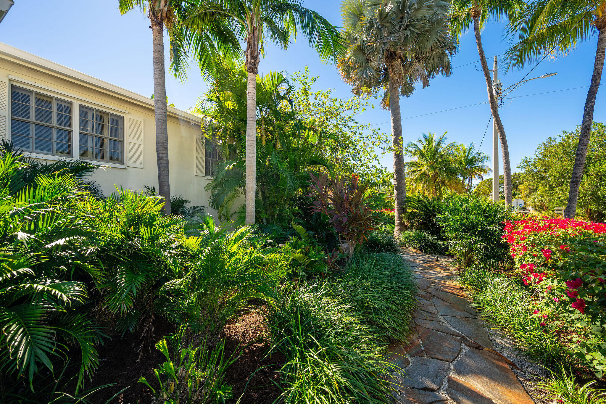 1600 Patricia Street