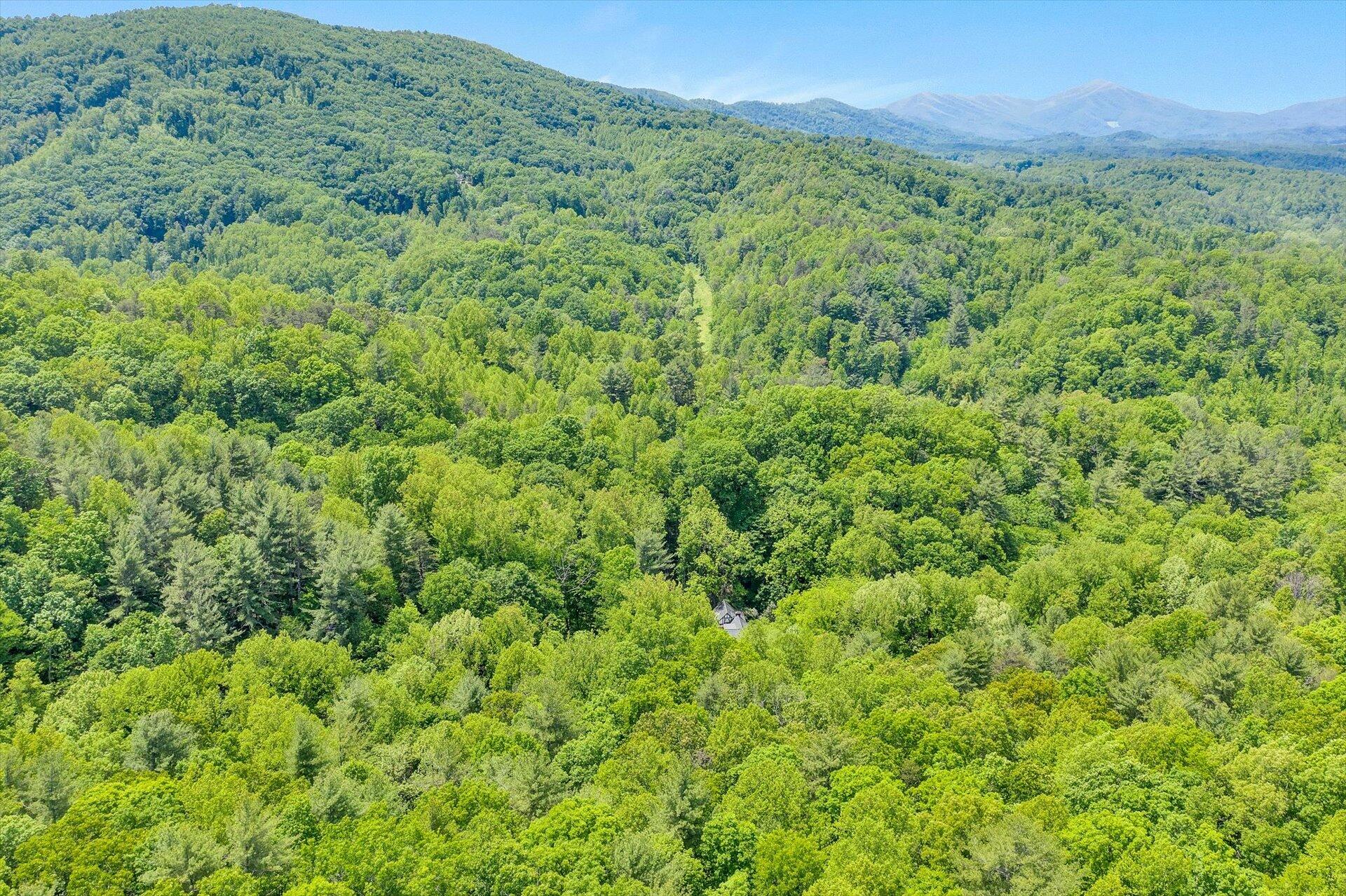 5122 Old Virginia Springs RD