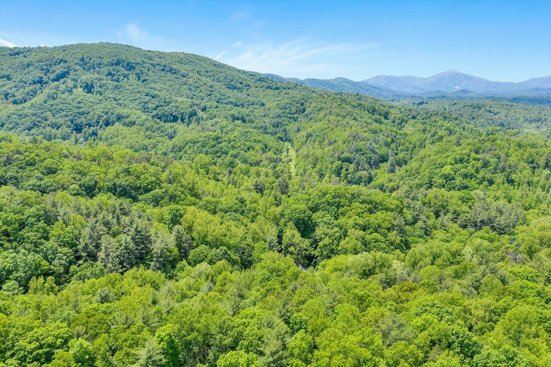 5122 Old Virginia Springs RD