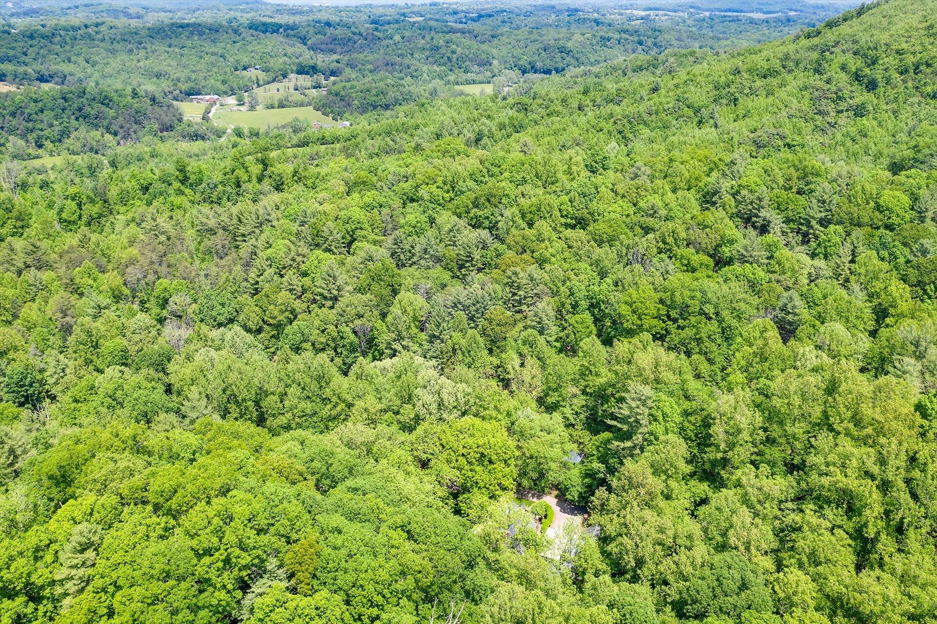 5122 Old Virginia Springs RD