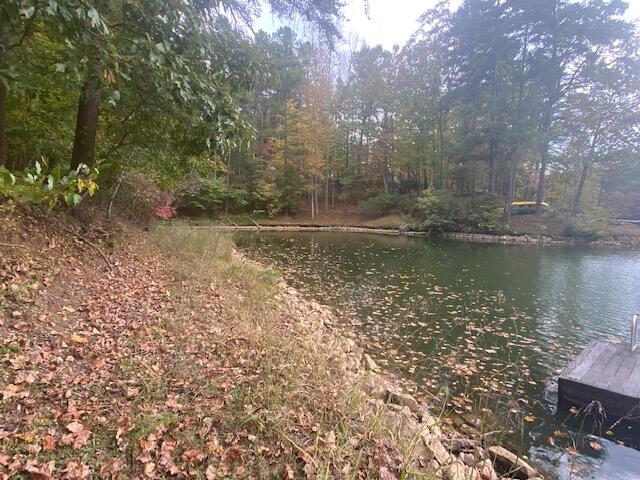 729 Shade Tree LN