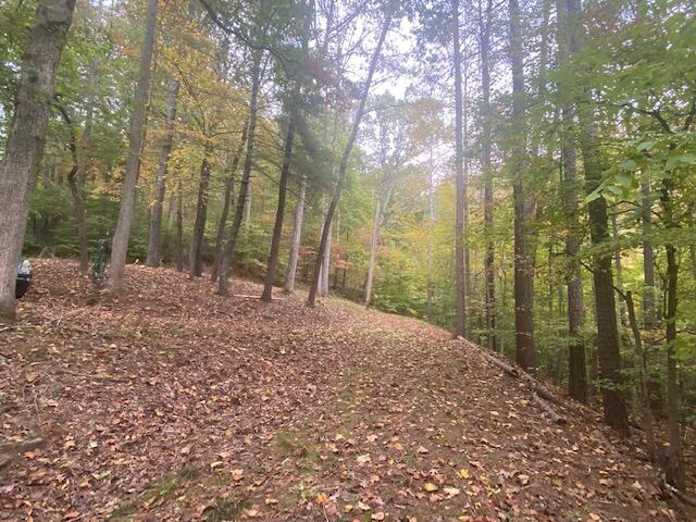729 Shade Tree LN