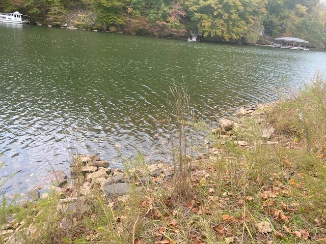 729 Shade Tree LN