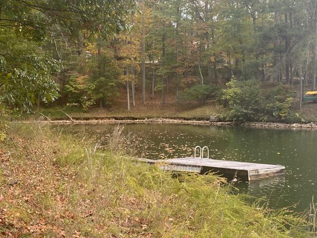 729 Shade Tree LN