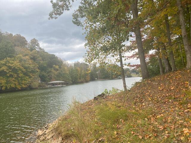 729 Shade Tree LN