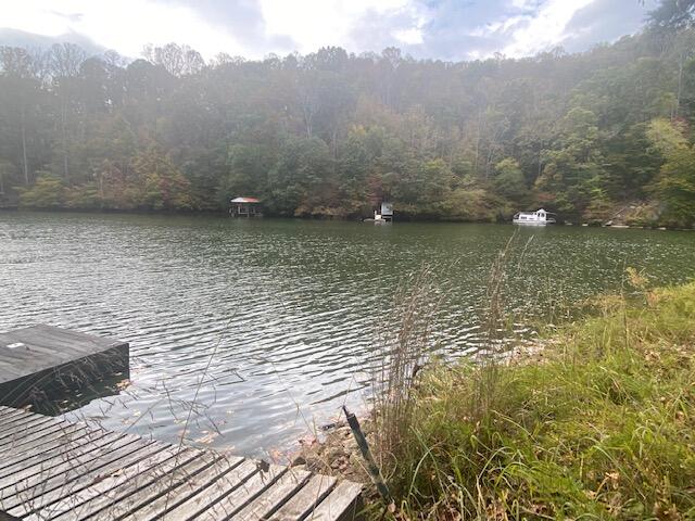 729 Shade Tree LN